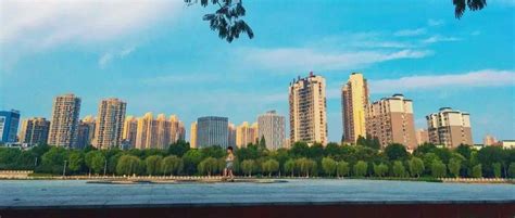 1月！荆州城区商品房销售均价同比下降10.26%_项目_房地产市场_住房
