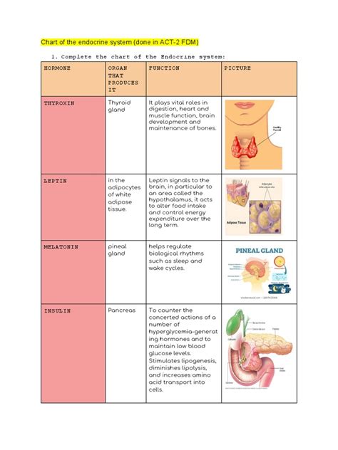 Image result for Endocrine System Table