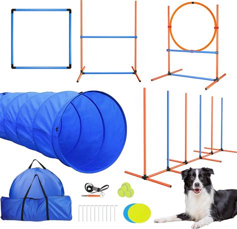 Image result for Agility Training for Dogs