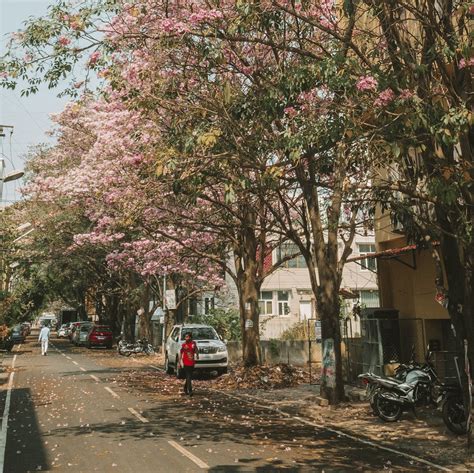 Astra Hotels & Suites | Hotels in Bangalore | Official Website