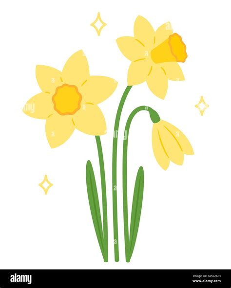 Daffodil flowers, cute simple springtime drawing. Cartoon vector ...