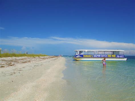 Shell Key Island | Hubbard's Ferry | Fort De Soto Park FL, 33715