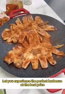 Multi-Function Portable Electric Tawa – HOME ESSENTIALS