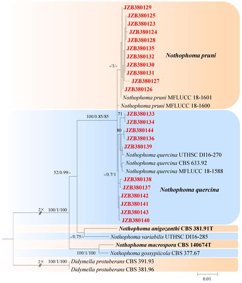 Microfungi Associated with Peach Branch Diseases in China