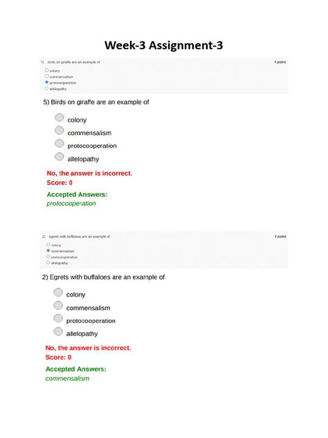 Assignment 3rd 的图像结果