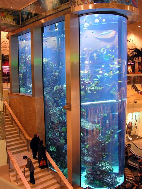 This is the largest aquarium and the highest in the Baltic States ...
