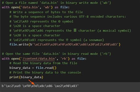 Image result for Binary File Example in Python