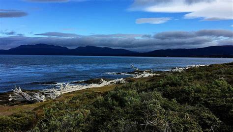 Tour en bicicleta por la península de Brunswick, Punta Arenas - Central ...