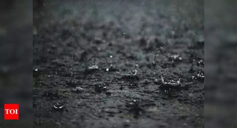Heavy rain continues in Rajasthan; Taranagar in Churu records 141 mm ...