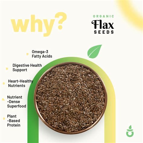 Organic Flax Seeds Indian Organic NPOP Certified