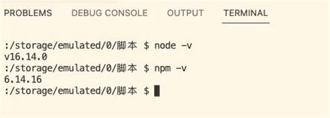 Vsdebugconsole exe Path 的图像结果