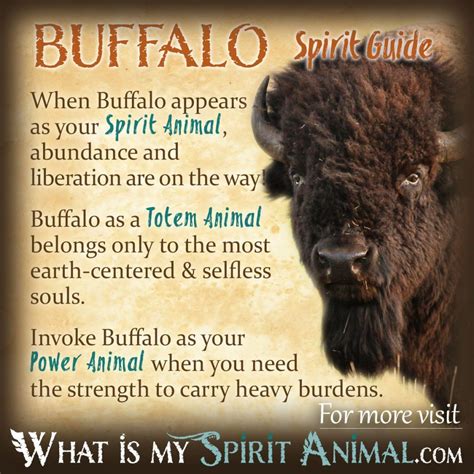 Journey Through the Sacred White Buffalo: Unveiling Its Native American Significance