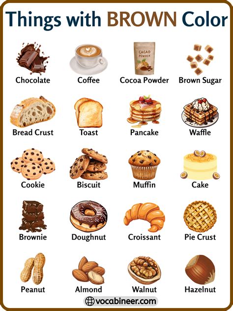 180 Brown Colored Things in English with Pictures