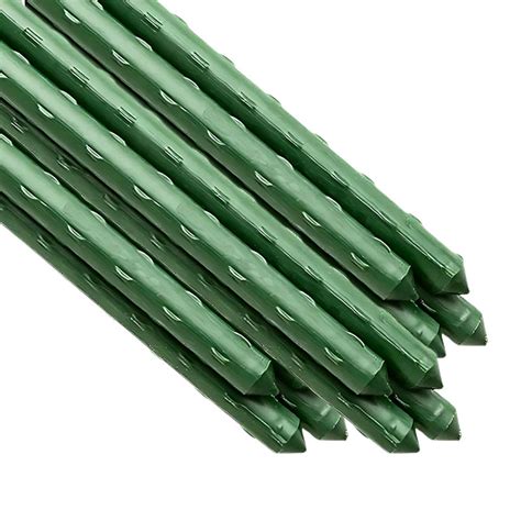 Stakes for Raspberry Plants 的图像结果