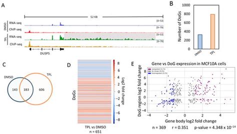 Transcriptional Stress Induces the Generation of DoGs in Cancer Cells