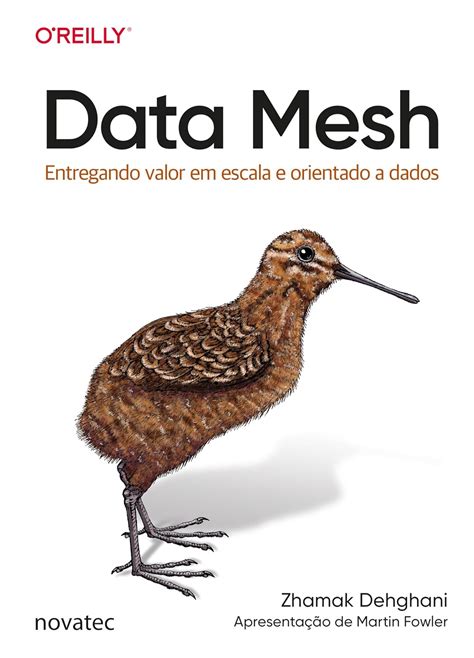 Data Mesh: Entregando valor em escala e orientado a dados (Portuguese ...