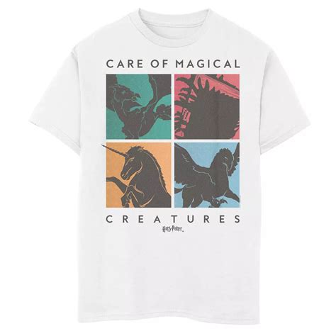 Boys 8-20 Harry Potter Care Of Magical Creatures Graphic Tee