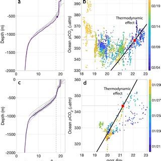 Image result for PCO2 Ocean