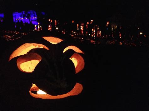 Grown in the Garden: A Trip into Sleepy Hollow: The Great Jack O ...