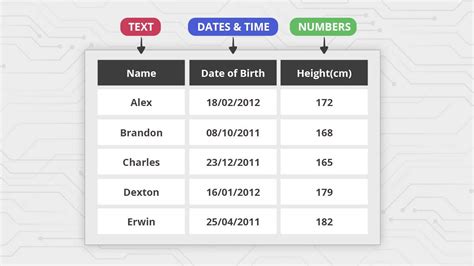 Image result for Data Type Examples
