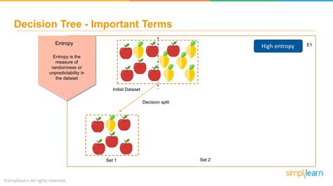 Image result for Rainforest Algorithm in Machine Learning