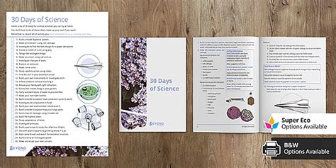 30 Days of Science Activities Booklet | Beyond