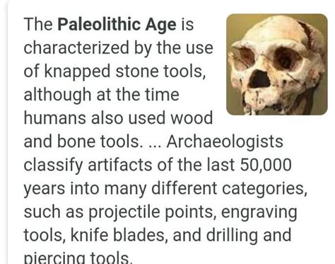 state any two features of Paleolithic age? Plz answer fast ...