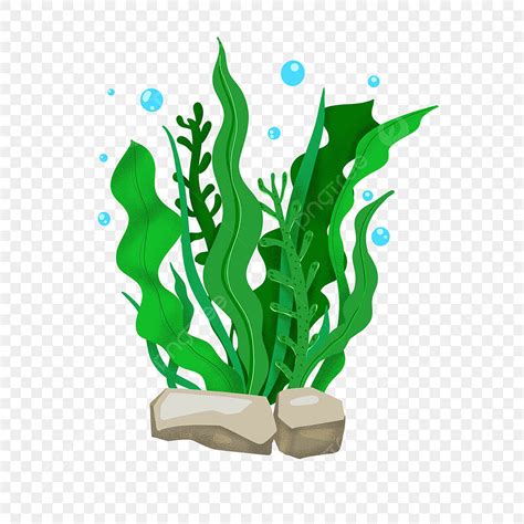 Seaweeds Clipart Black And White Fish