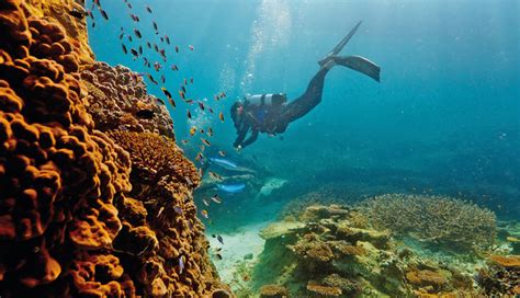 5 Places You Must Visit Once in Lifetime - lifeberrys.com