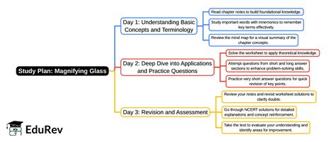 3-Days Study Plan: Magnifying Glass - English Poorvi Class 8 - New ...