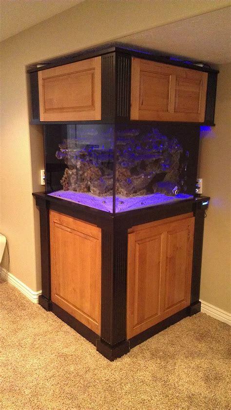 Aquarium Stands 20 Gallon at Pamela Cherry blog