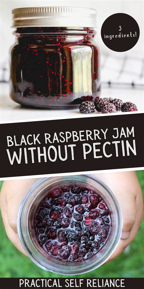 Black raspberry jam – Artofit