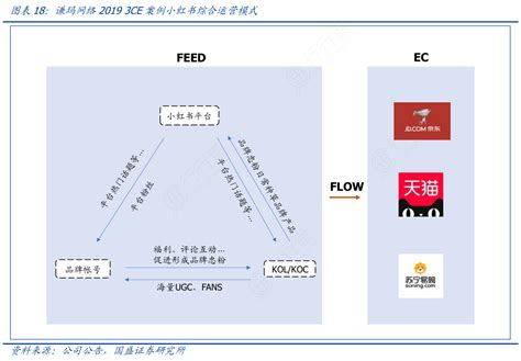 谦玛网络2019_3CE案例小红书综合运营模式_行行查_行业研究数据库