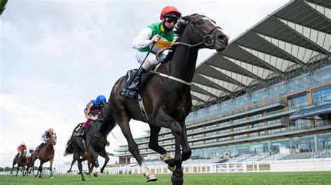 German option for Pyledriver following Derby effort | Racing News | Sky ...