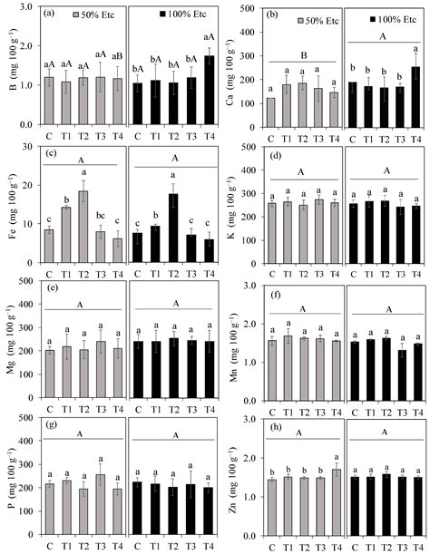 Physiological, Productive, and Nutritional Performance of Tomato Plants ...