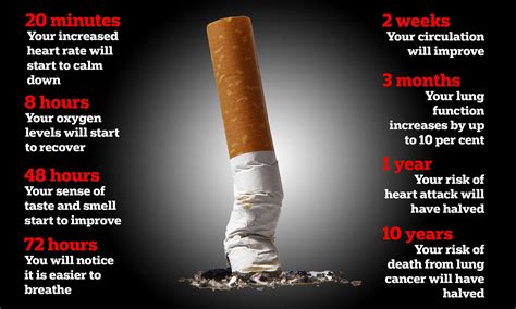 How Bad Is Smoking One Cigar A Day at Becky Uhl blog