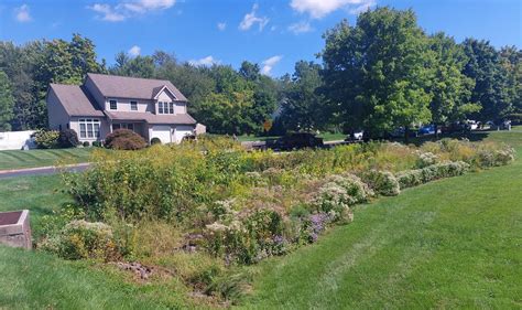 Homeowner Resources — Perkiomen Watershed Conservancy