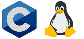 Controlling the RTS and DTR pins of Serial Port in Linux using C/C++ ...