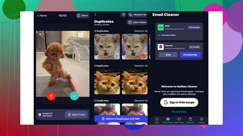 CleanGenius Review 的图像结果