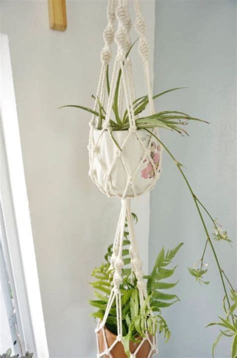 Plant Hangers Manufacturer, Exporter & Supplier from Ghaziabad India