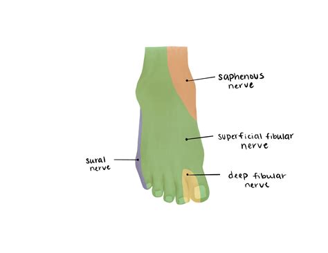 Jones and Pseudo-Jones Fractures