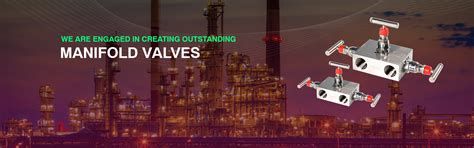 Manifold Valve, 2-3-5 Way Manifolds Valve, Supplier, Manufacturer, India