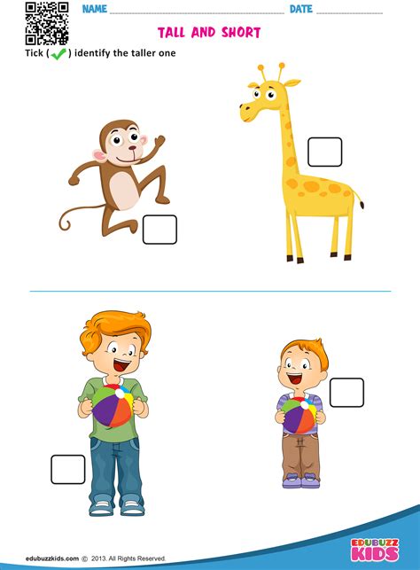 TALL AND SHORT | Kindergarten worksheets, Math for kids, Common and ...