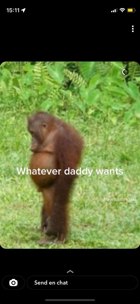 hate those monkeys by Obamadog Sound Effect - Meme Button - Tuna