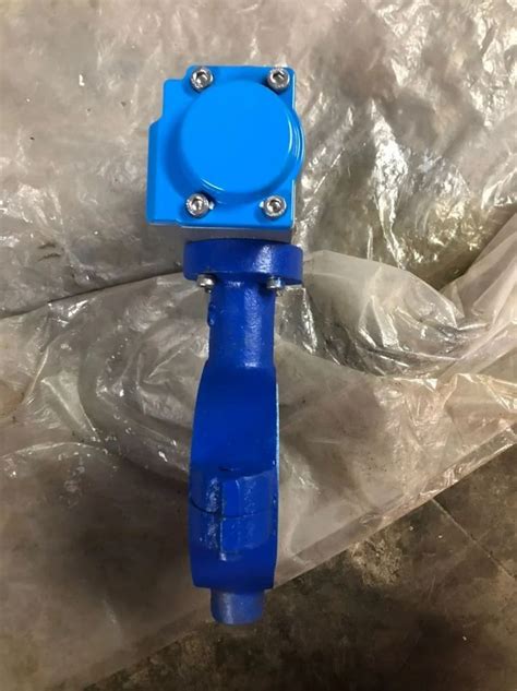 Butterfly Valve - Stainless Steel Butterfly Valve Manufacturer from Thane