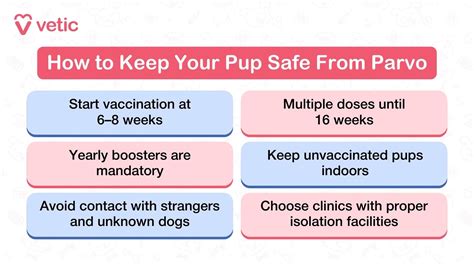 Parvo in Dogs: Signs, Causes, Treatment and Prevention