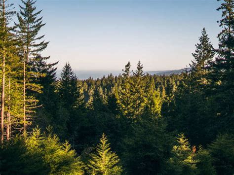 Ready for afterlife? Here's a new way to prepare for life after death ...