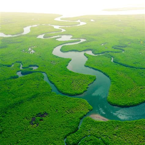 How Deep is the Amazon River? - IMP WORLD