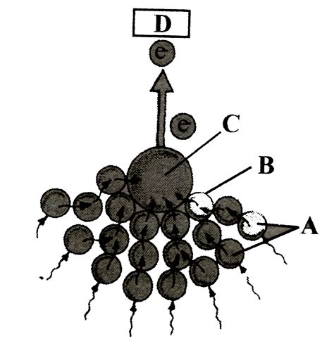Given figure depicts the light harvesting comples (LHC) of photosystem ...
