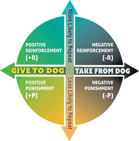 Image result for Quadrants of Operant Conditioning